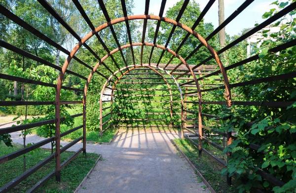 Деревянная арка для сада с фото