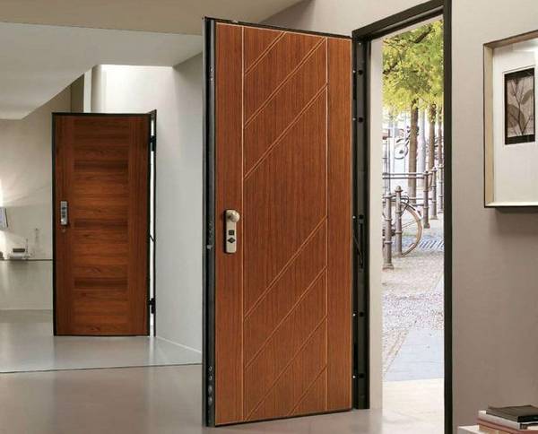 Вес металлической входной двери: от чего зависит и как подобрать оптимальну ... - фото